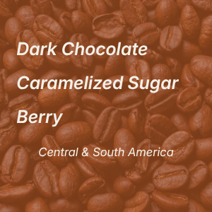 Wildcat Signature Blend